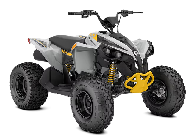 Квадроцикл BRP RENEGADE 110 EFI Квадроцикл BRP RENEGADE 110 EFI